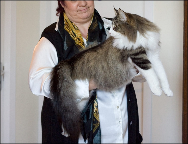 Carlson du Valldall 3.jpg - Carlson du Valldall 